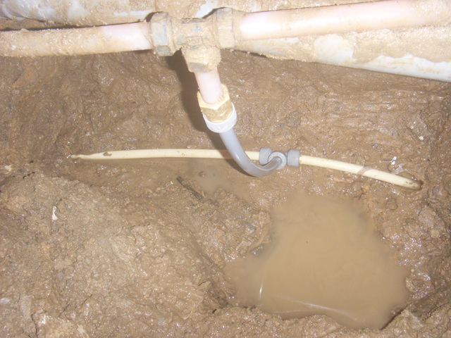 ¿øº» »õâÀ¸·Î º¸±â