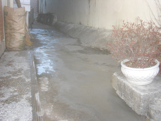 ¿øº» »õâÀ¸·Î º¸±â