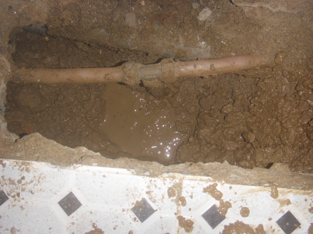 ¿øº» »õâÀ¸·Î º¸±â