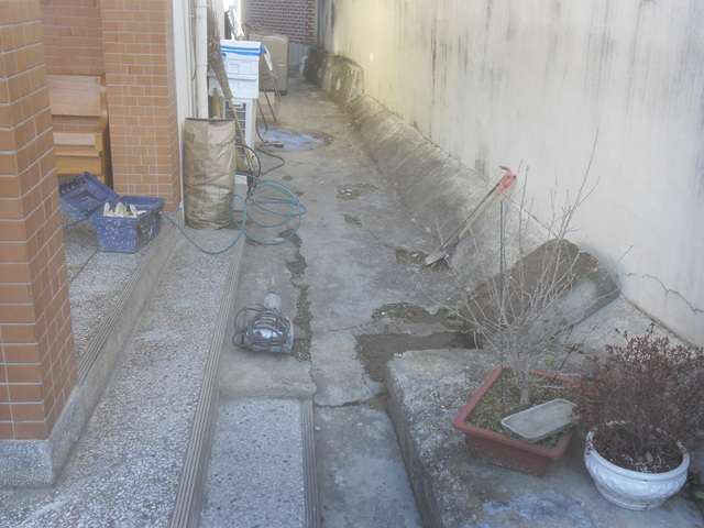 ¿øº» »õâÀ¸·Î º¸±â