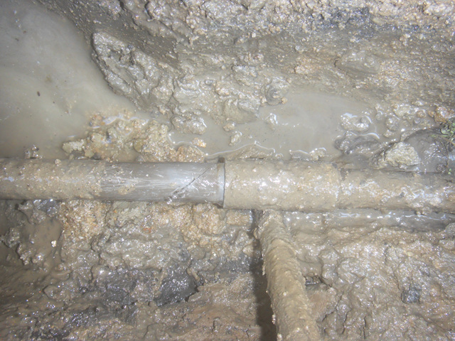 ¿øº» »õâÀ¸·Î º¸±â