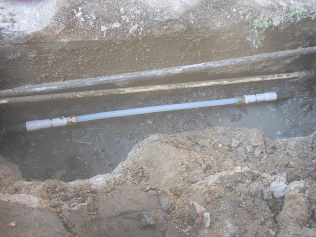 ¿øº» »õâÀ¸·Î º¸±â